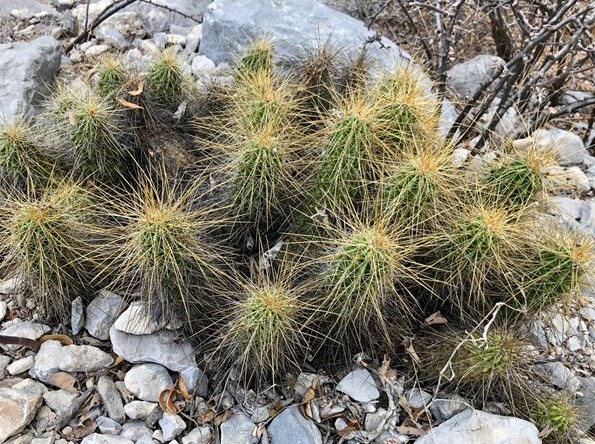 Explora La Huasteca, el parque Ecológico de Nuevo León